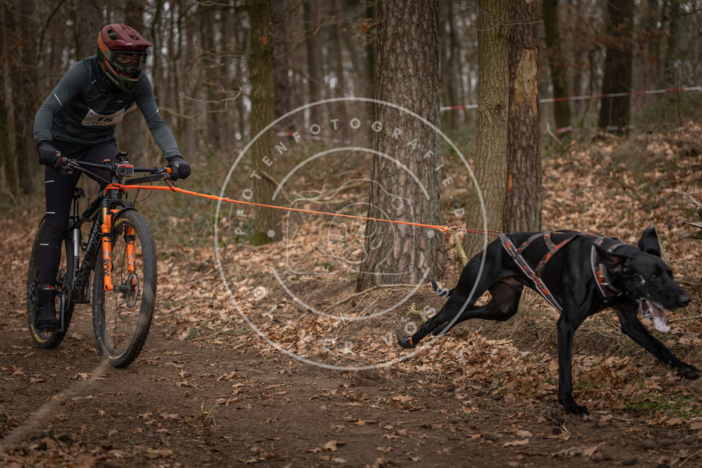 Pfotenfotografie_DV3A7075 | Hundefotografie, Tierfotograf, Pfotenfotografie, Fotoshooting Hund, Hunde Portrait, Hundesport, Hundeportraits, Heideshooting, Hunde, Sportfotograf, Hundefotograf, Turnierhundsport, THS,  - Realisiert mit Pictrs.com