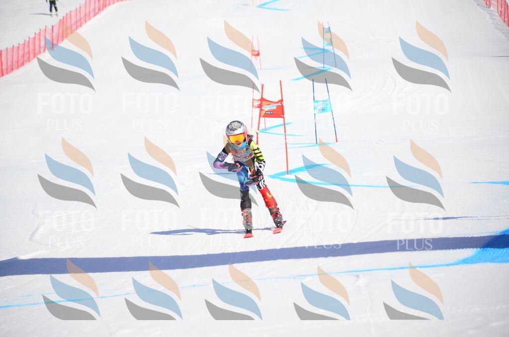 VR4_9182 | holidayphoto