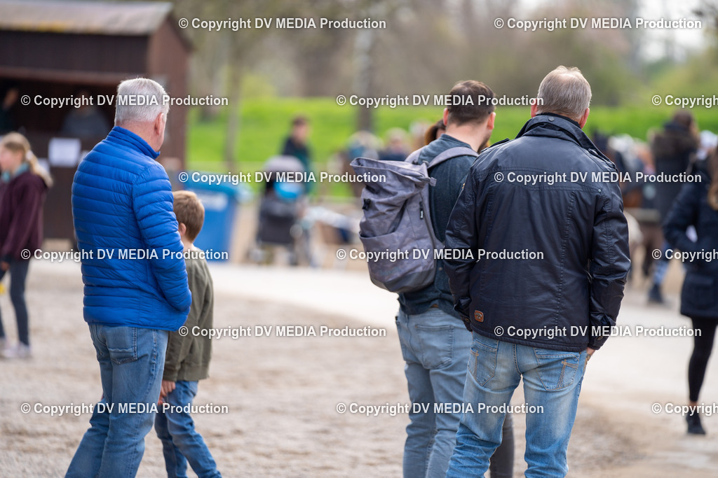 Springen Tag 3-428 | dv-media-shop - Realisiert mit Pictrs.com