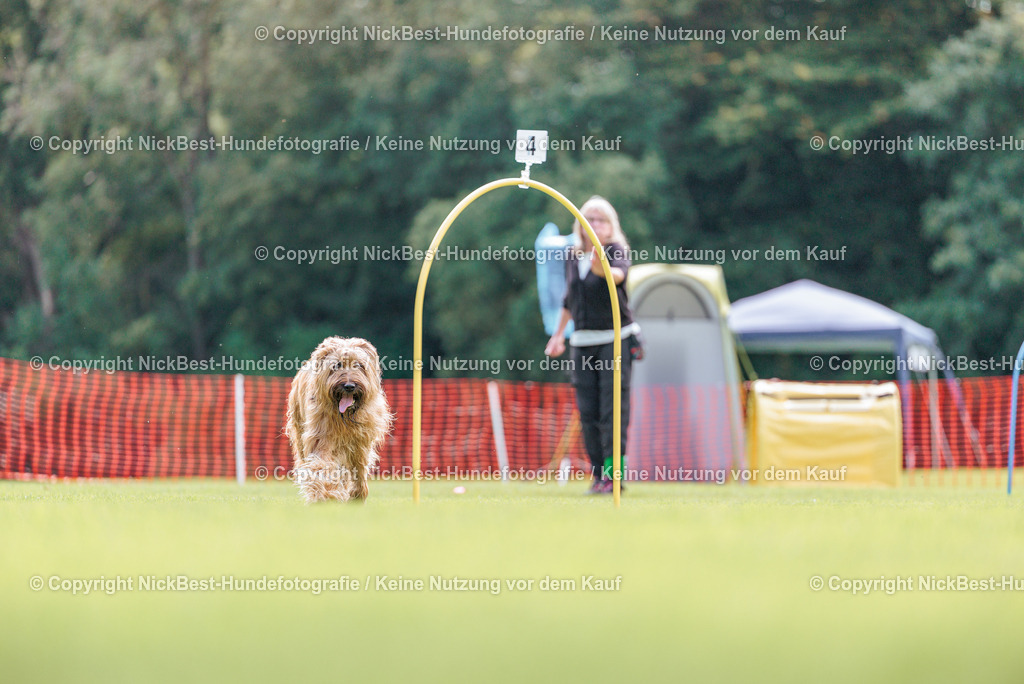 BSP Hoopers-H2-2026-Nickbest-Hundefotografie-TuS Komet Arsten e.V.-6902 | Dein Hund! Dein Moment! Deine Erinnerungen! Hundefotografie in Bremen Blumenthal. Ich fange die besonderen Momente deines Vierbeiners ein – ob Indoor mit Blitzanlage oder in der freien Natur. Sicher dir dein Moment und dein Termin für eure Erinnerungen.