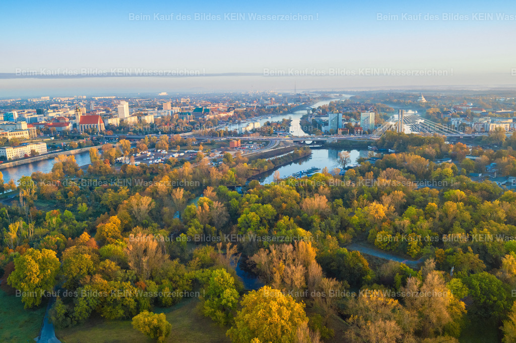 Magdeburg_Herbst_Stadtpark_Zollhafen-0020 | Stadtpark Rothehorn Garten am Stadtmarsch mit Zollhafen - Realisiert mit Pictrs.com