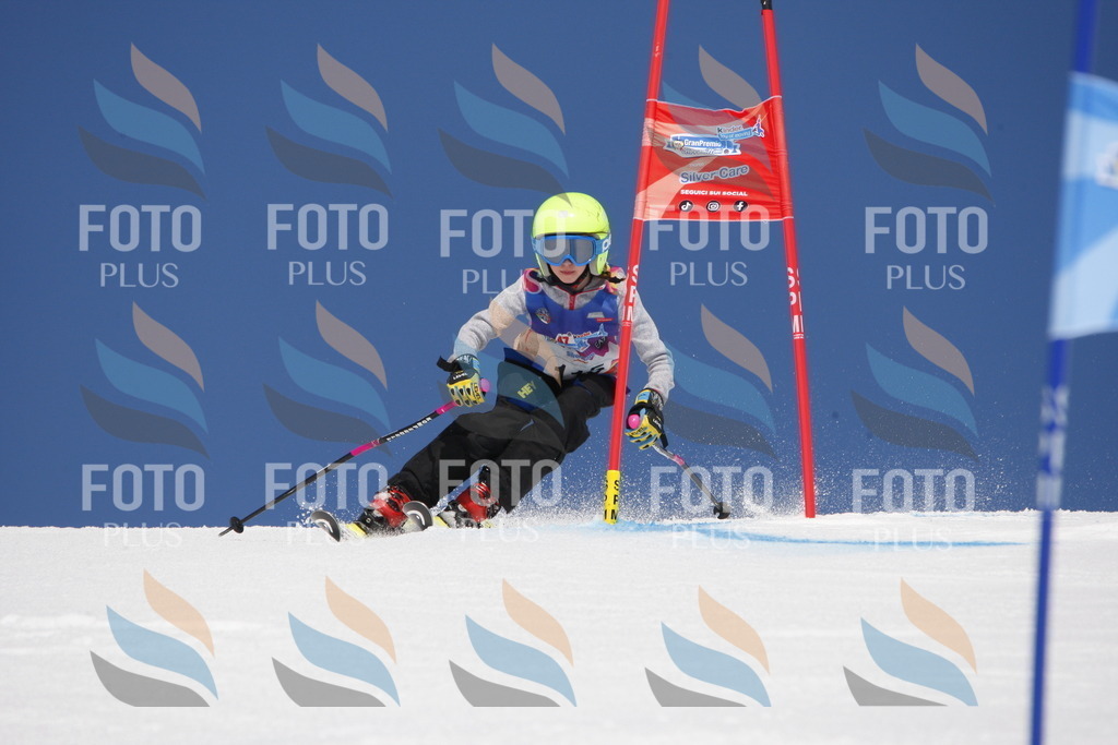 _W1G1713 | holidayphoto