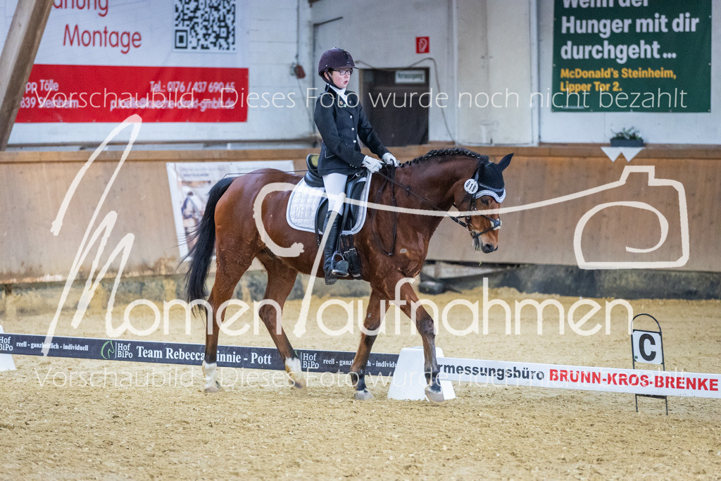 Sth-WBO25-EDr-084 | MomenTaufnahmen Pferdesportfotos