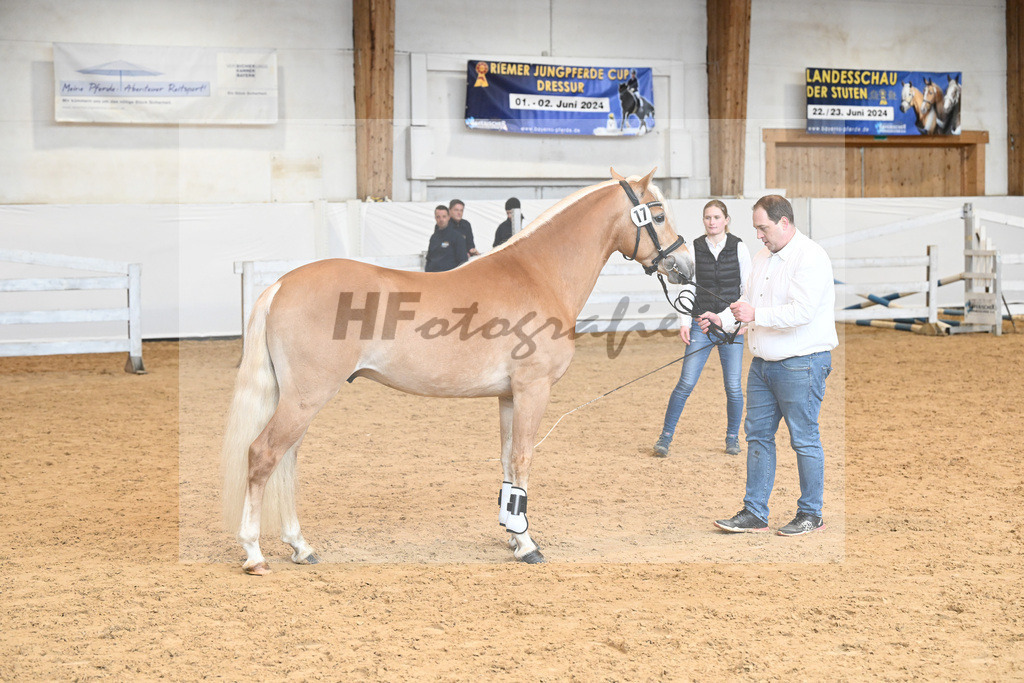 Kat-Nr. 17 v. Barios_Hartmann_6240357 | hf-fotografie - Realisiert mit Pictrs.com