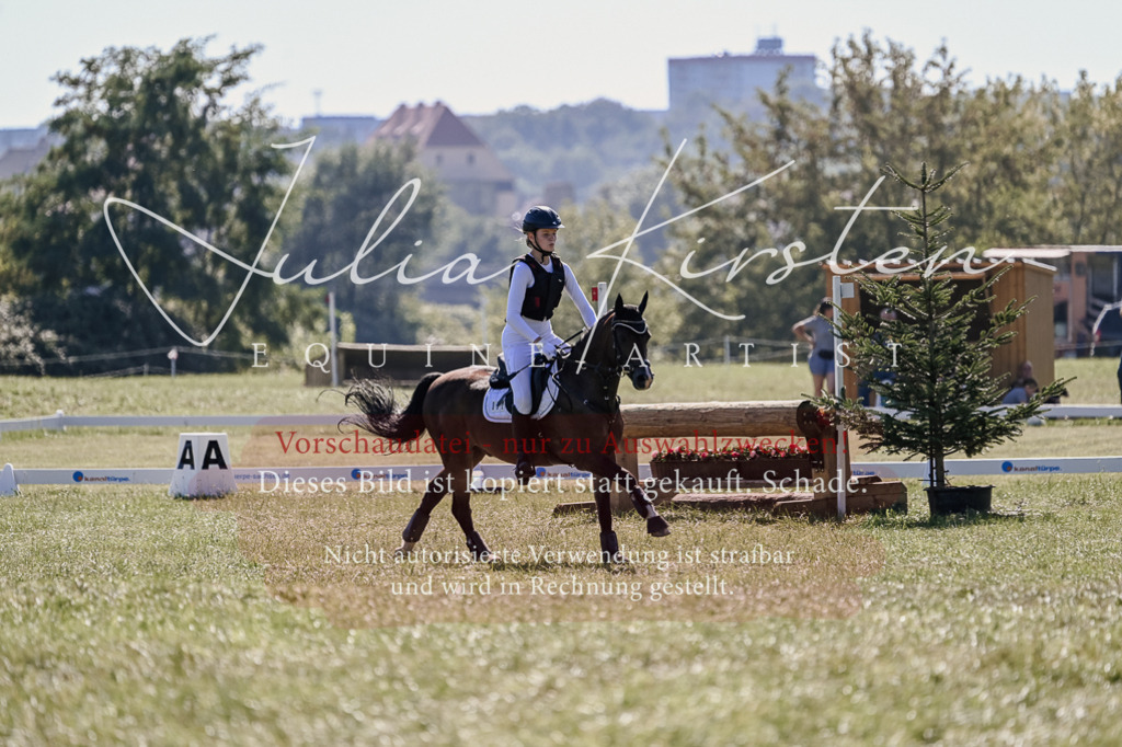 DSC_2927 | Pferde- und Turnierfotografie in Westsachsen. Pferdeportraits, Auftragszeichnungen und intuitive Kunst.
