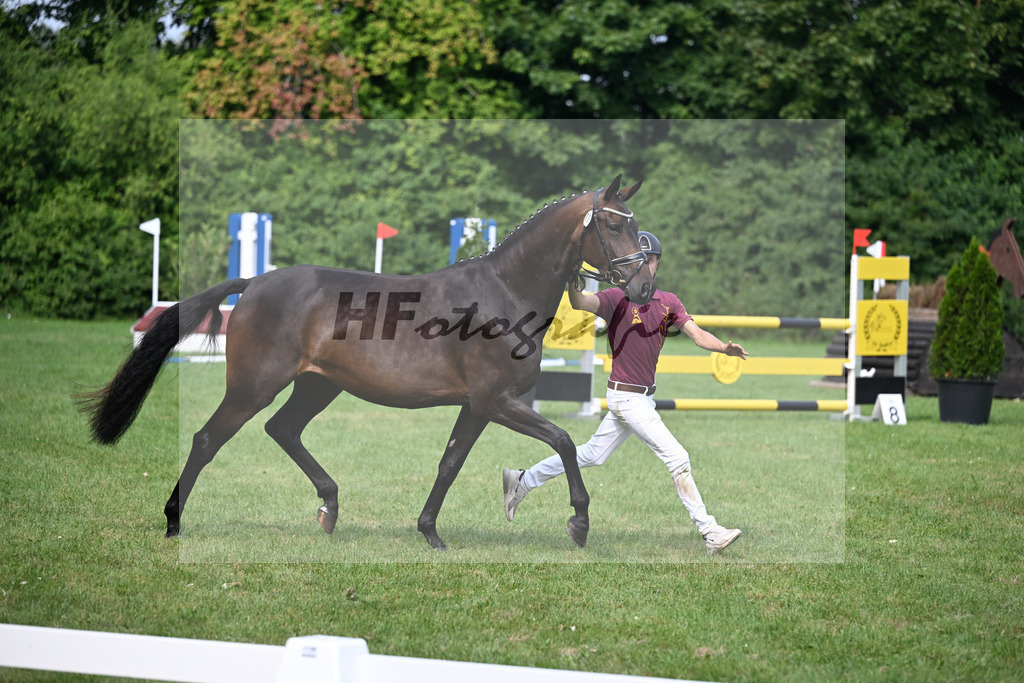 Kat-Nr. 5 Mette v. Monte Carlo TC_Wittlinger_27150490 | hf-fotografie - Realizzato con Pictrs.com
