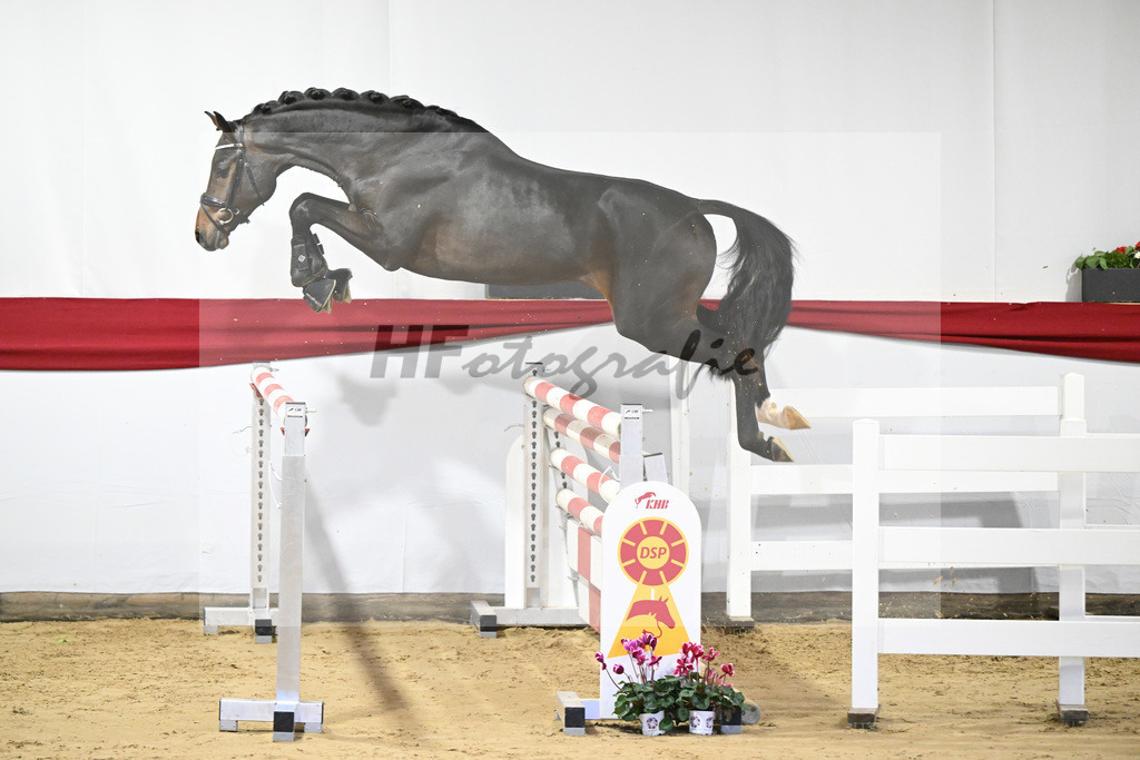 Kat-Nr. 32 v. Uno I_Koegler_63220883 | hf-fotografie - Realisiert mit Pictrs.com