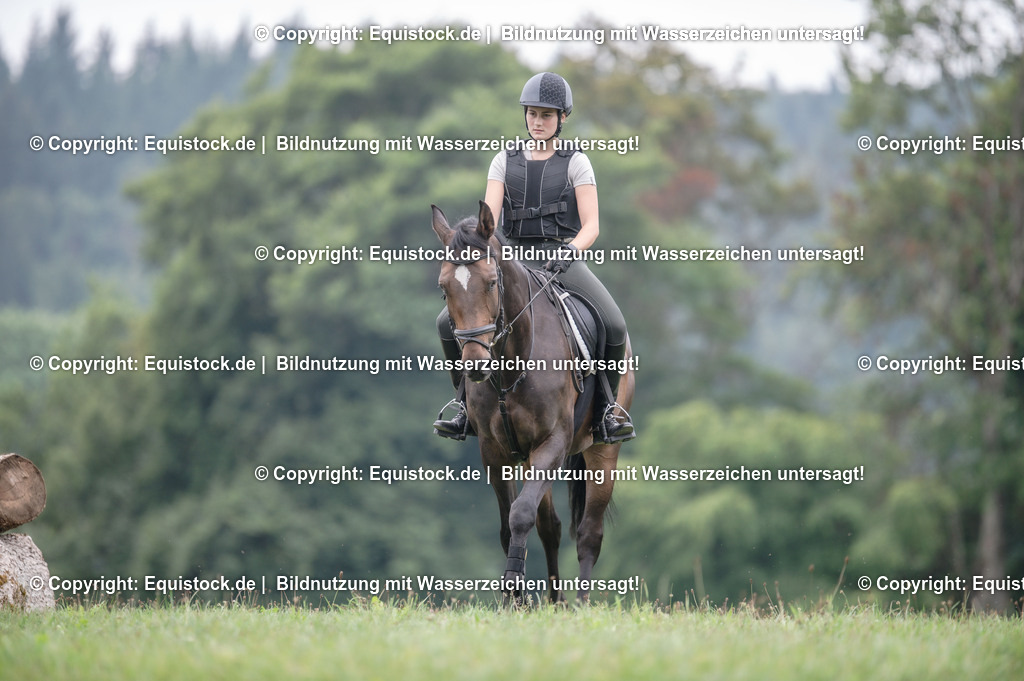 20250726_Vielseitigkeitslehrgang-Marbach_0340 | Foto: Thomas Hartig