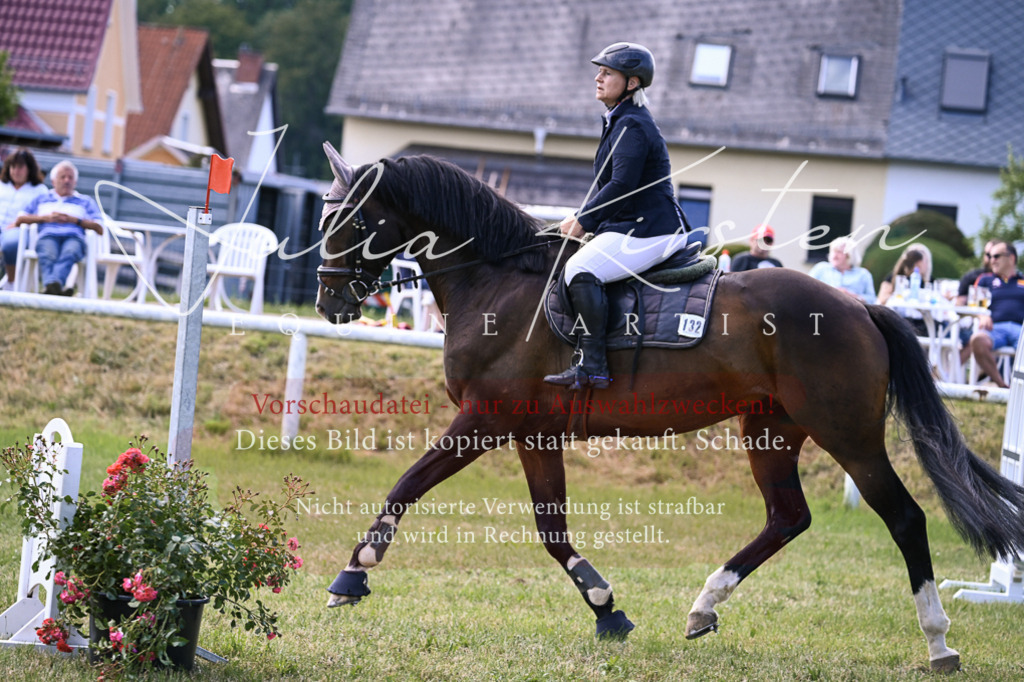 DSC_0547 | Pferde- und Turnierfotografie in Westsachsen. Pferdeportraits, Auftragszeichnungen und intuitive Kunst.