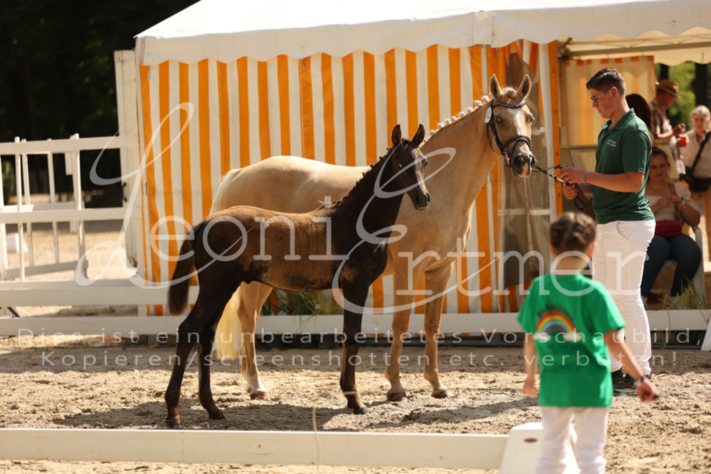 08.DoRPS00040 | Leoni Ertmer Photography - Realisiert mit Pictrs.com