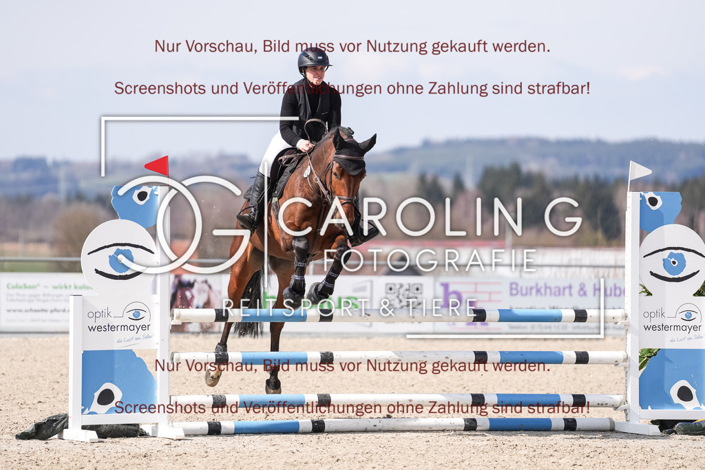 DSC05299 | Late_entry_Springturnier_Bad_Wurzach, Alisa_Pickl, Don´t_call_him_Detlef