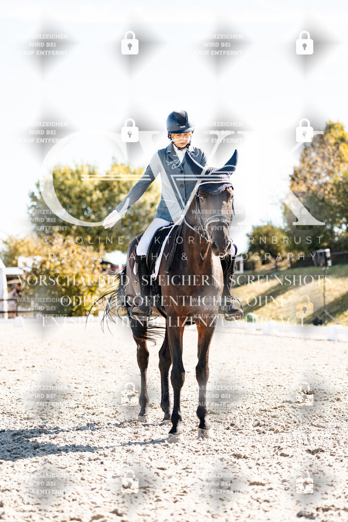 CK908844 | Turnierfotografie Pferdefotografie Trier Rheinland-Pfalz Pferdesport Reitsport Tierfotografie Sportfotografie Pferdevideo Pferdevideografie Equestrianvideography equestrianphotography  - Realisiert mit Pictrs.com