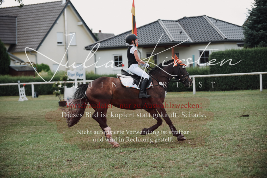 DSC_5736 | Pferde- und Turnierfotografie in Westsachsen. Pferdeportraits, Auftragszeichnungen und intuitive Kunst.