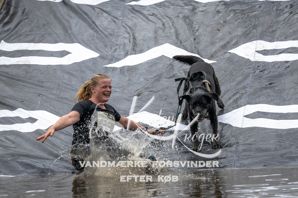 1337_ZZ92562 | kk-dogfotos