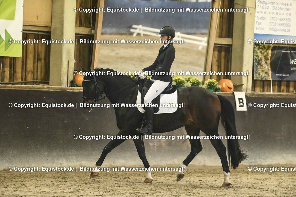 20231029_04_Dressur-WB_0258 | Foto: Thomas Hartig