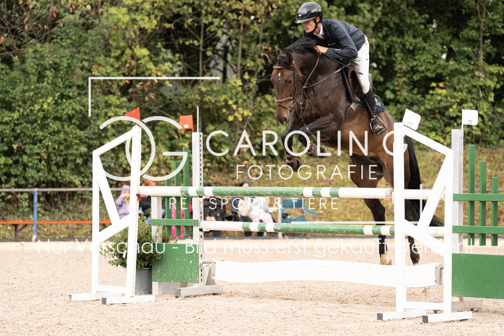 DSC04194 | Carolin Gieschke