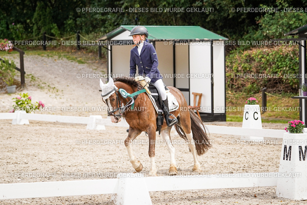 DSC04656 | Pferdegrafie