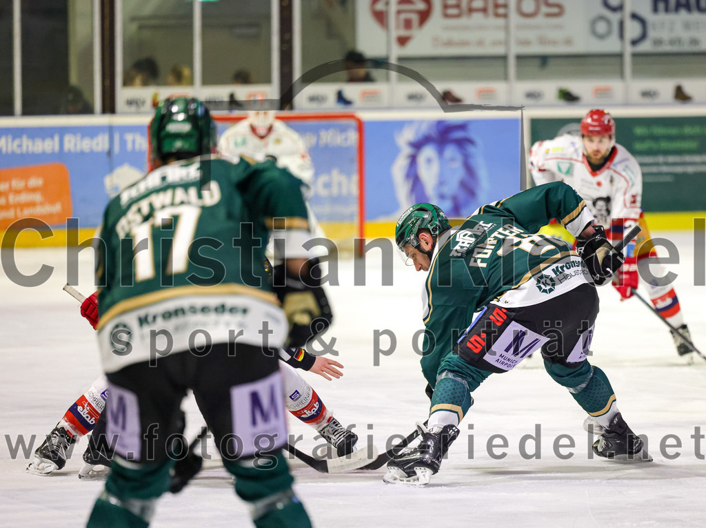 2026-02-20_081_TSV_Erding_gegen_Deggendorfer_SC | Erding, Deutschland, 20.02.2026:Eishockey, Oberliga Süd 2025 / 2026, 49. Spieltag, TSV Erding gegen Deggendorfer SC, Endergebnis: 4:1Maximilian Forster (Erding Gladiators, #81)Foto: Christian Riedel / fotografie-riedel.net