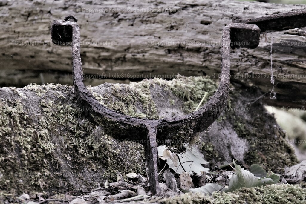 DSC_0032 (2) | Sportfotografie , Motorsport, Motoross, Reitsport, Mointainbike, Enduro,
Landschaft , Outdoor, Eventfotografie, Landschaft, Bilder online bestellen - Realisiert mit Pictrs.com