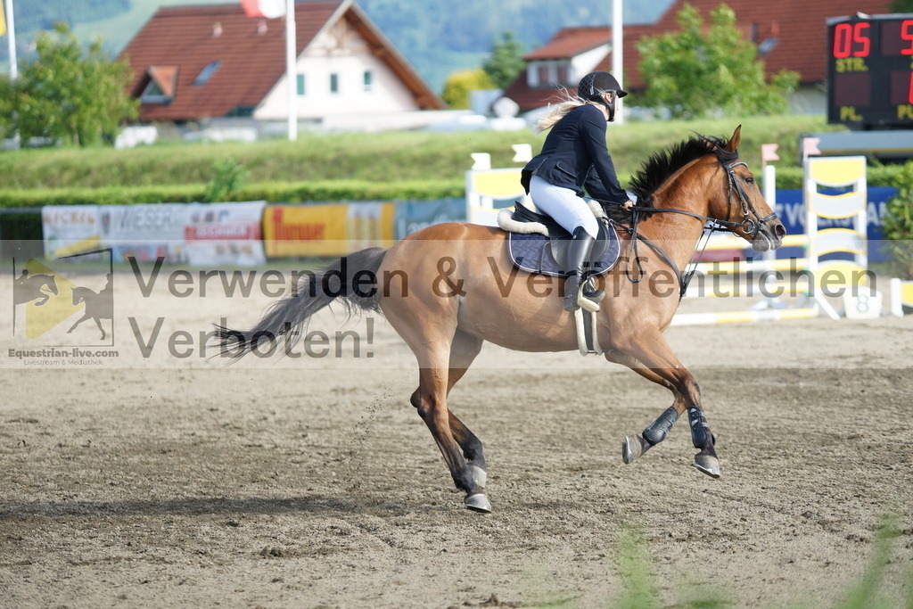 DSC05547 | equestrian-live-com