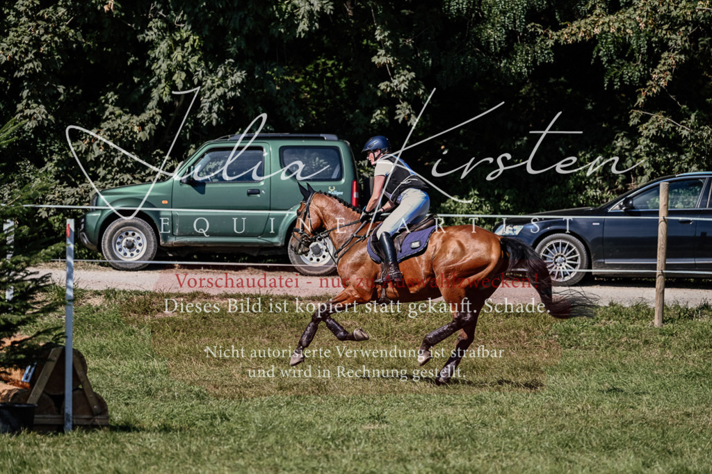DSC_1986 | Pferde- und Turnierfotografie in Westsachsen. Pferdeportraits, Auftragszeichnungen und intuitive Kunst.