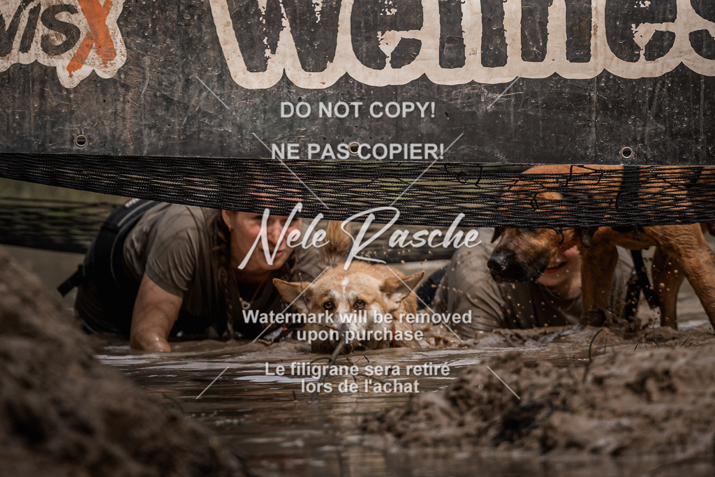 nelerasche_Hoope2026_Sa1100-1130_493 | nelerasche