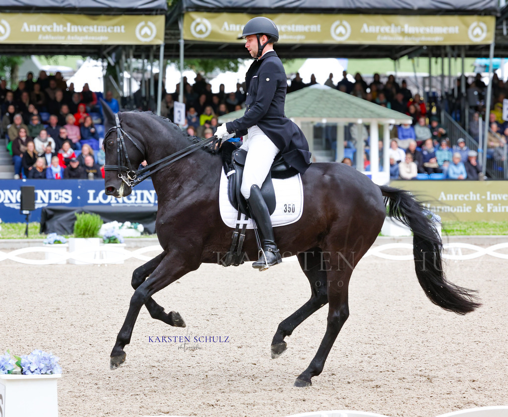 1B3A7785 | Reitsport Reiten