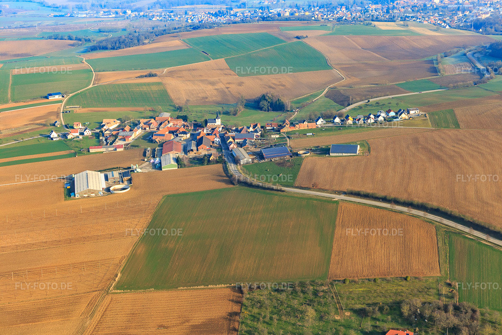 Luftbild: Ortsansicht von Süden in Ringeldorf im Bundesland Bas-Rhin in Frankreich. – Foto: IMG_105361.jpg vom 25.03.2018 durch Werner Riehm/FLY-FOTO.de – Auflösung des Originals: 5472 x 3648 px