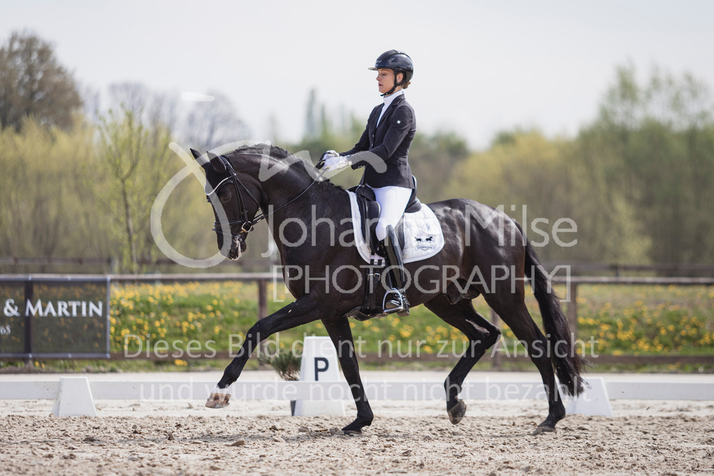 250416_Dressurpferde-L-221 | Deine schönsten Turniermomente als professionelle Fotos! Entdecke hochwertige Pferdesport-Fotografie im Online-Shop. Jetzt Fotos finden & bestellen!