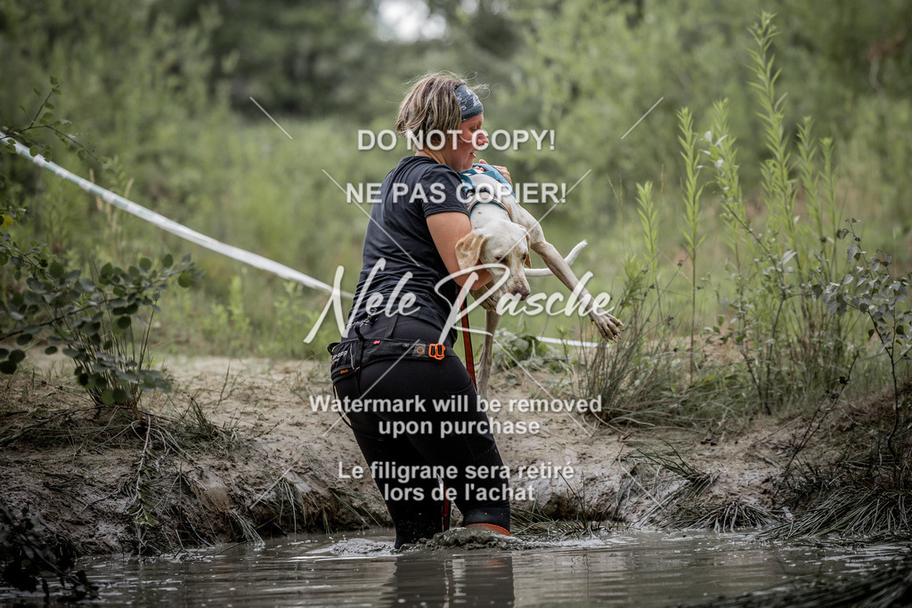 nelerasche_so0800-0930_478 | nelerasche