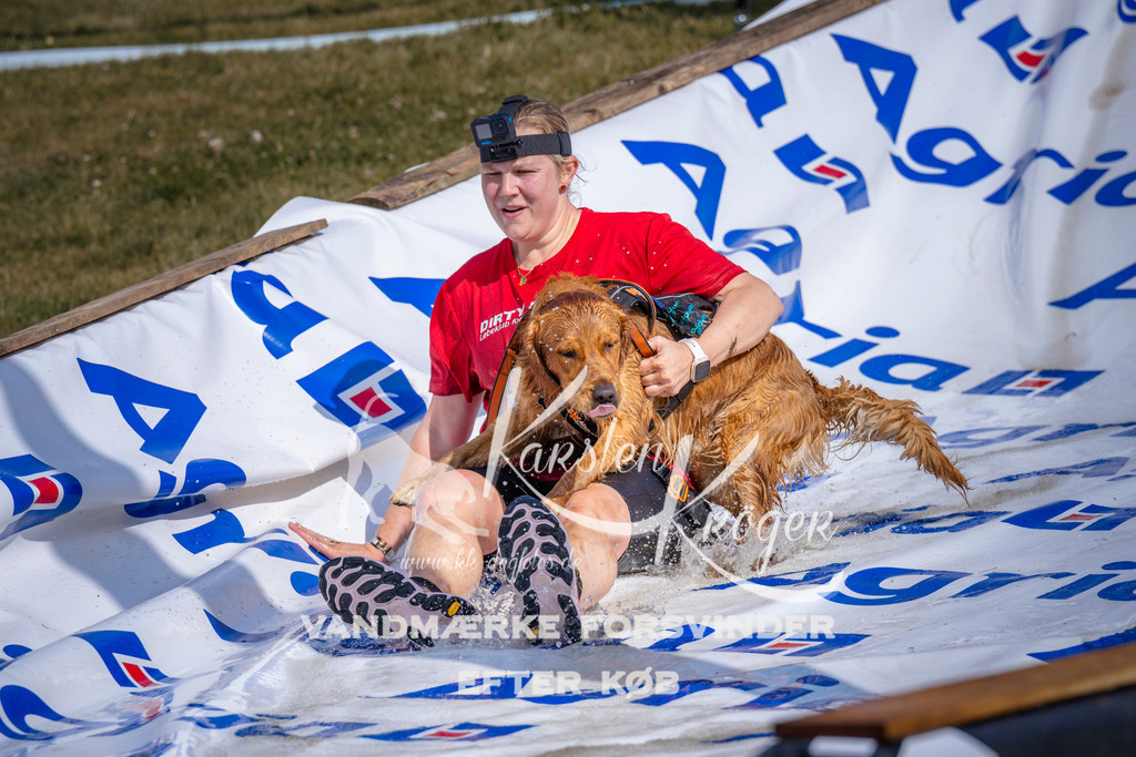_ZZ991870821 | kk-dogfotos