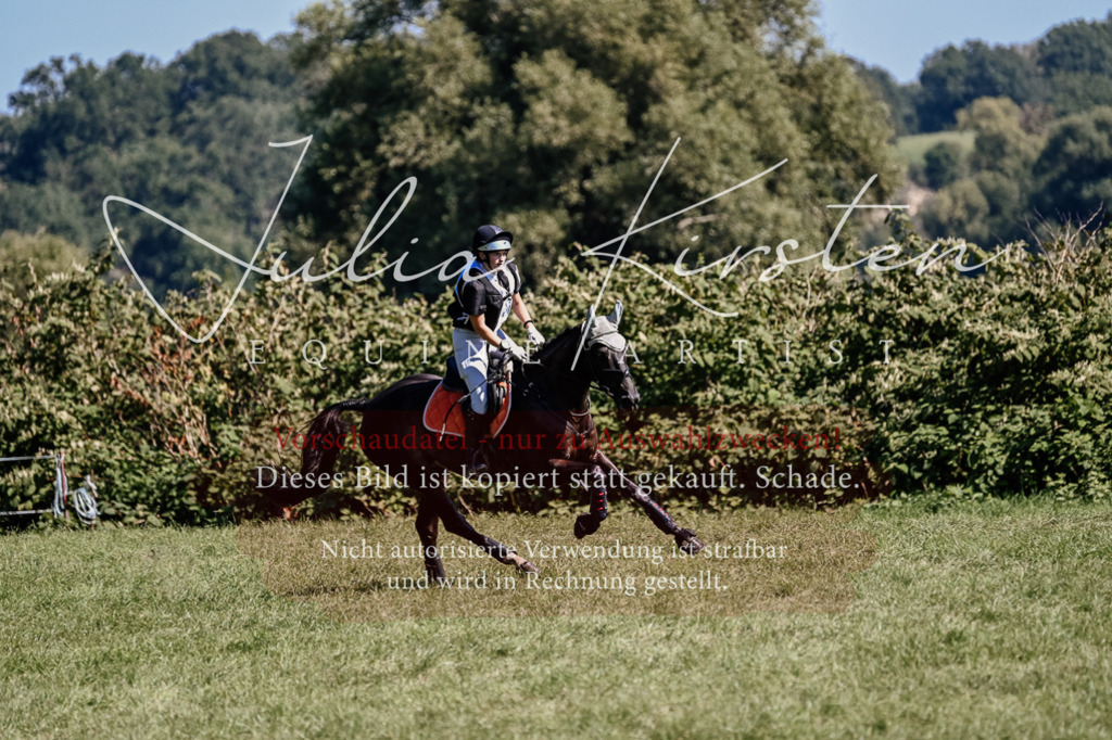 DSC_1806 | Pferde- und Turnierfotografie in Westsachsen. Pferdeportraits, Auftragszeichnungen und intuitive Kunst.