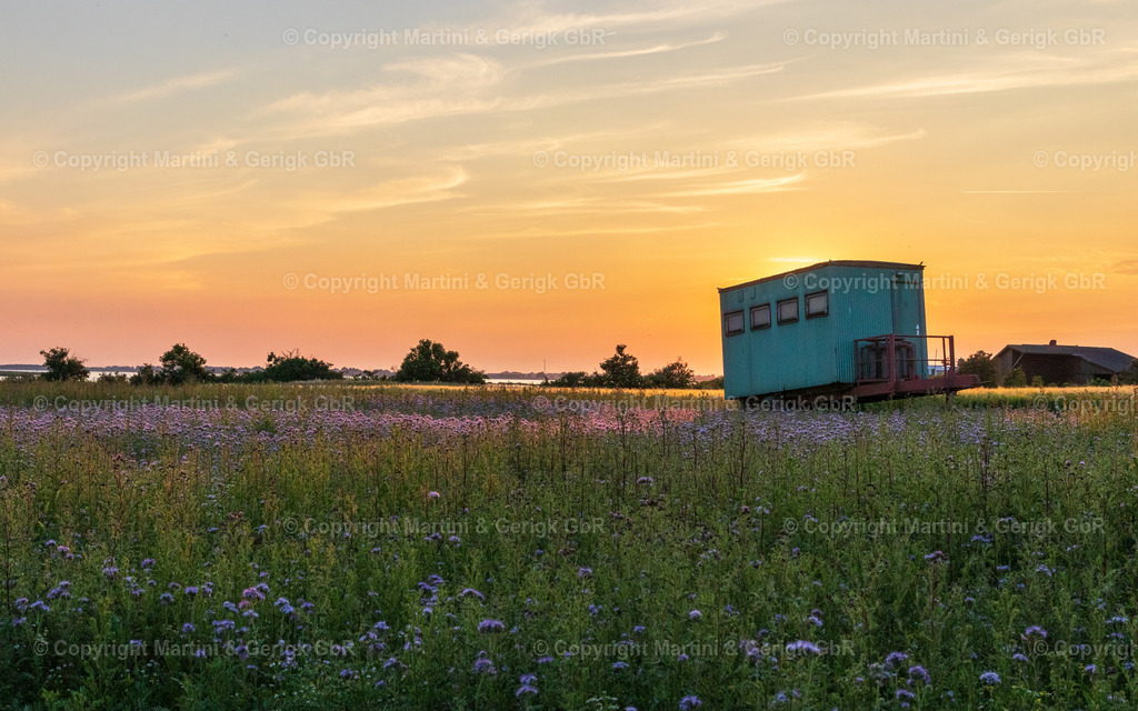 Markus Gerigk_8 | Martini & Gerigk - Realisiert mit Pictrs.com