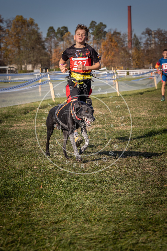 CaniXpix_0L8A7464 | Hundefotografie, Tierfotograf, Pfotenfotografie, Fotoshooting Hund, Hunde Portrait, Hundesport, Hundeportraits, Heideshooting, Hunde, Sportfotograf, Hundefotograf, Turnierhundsport, THS,  - Realisiert mit Pictrs.com