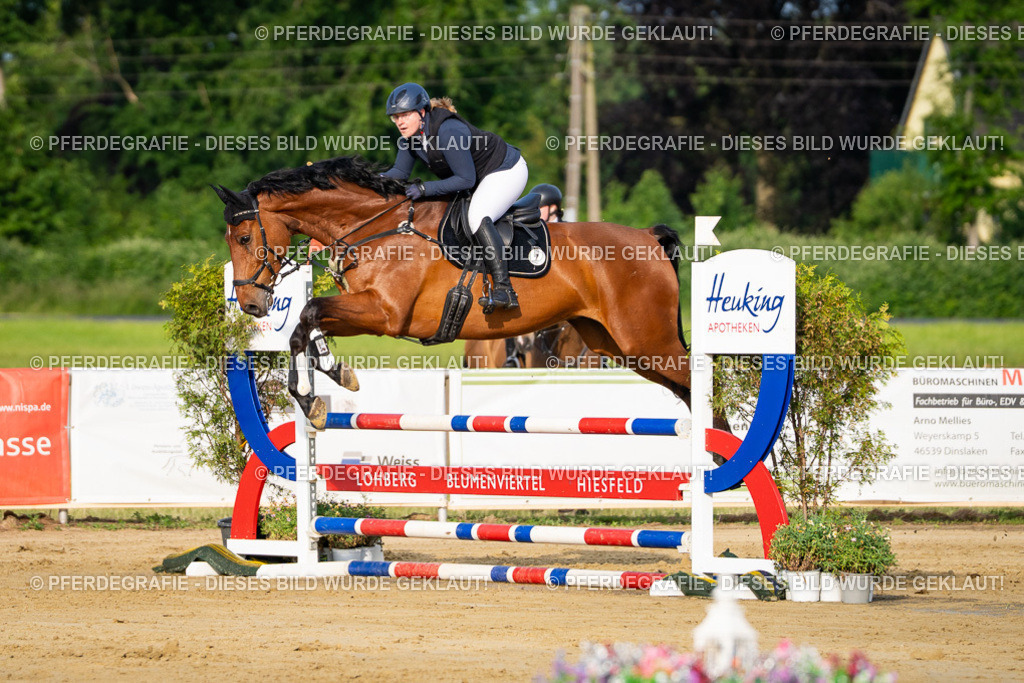 DSC02420 | Pferdegrafie