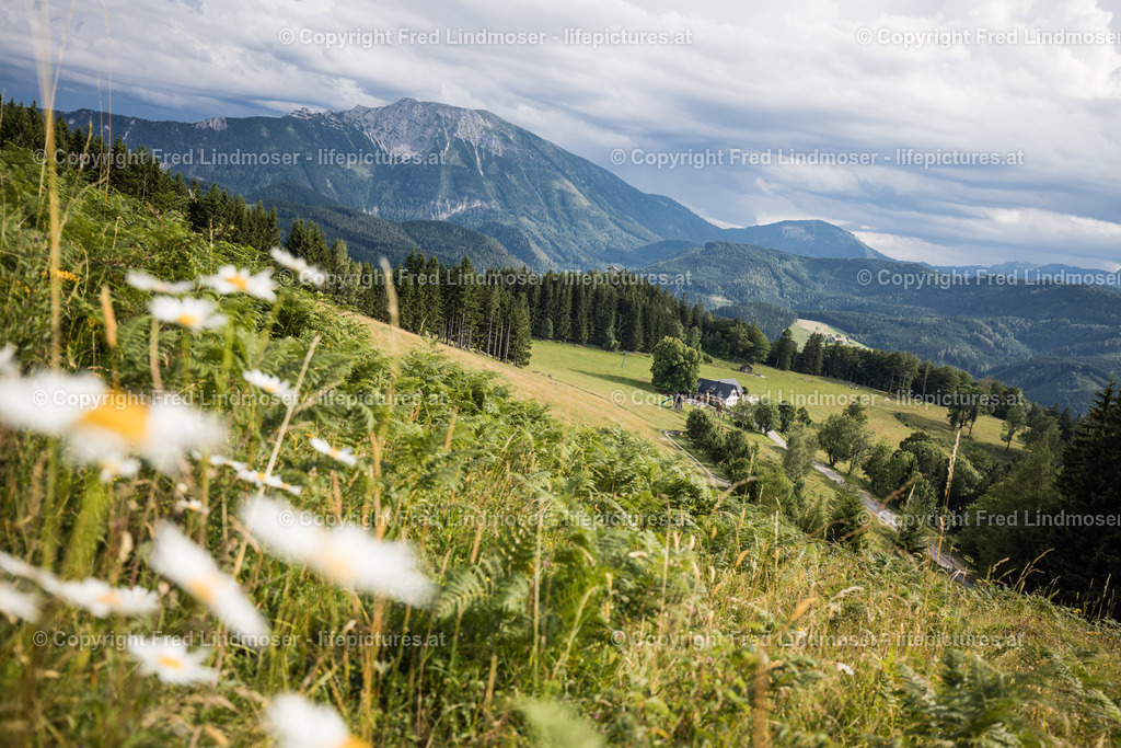 Otscher  (57) | Fotos und Fotoprodukte - Realisiert mit Pictrs.com