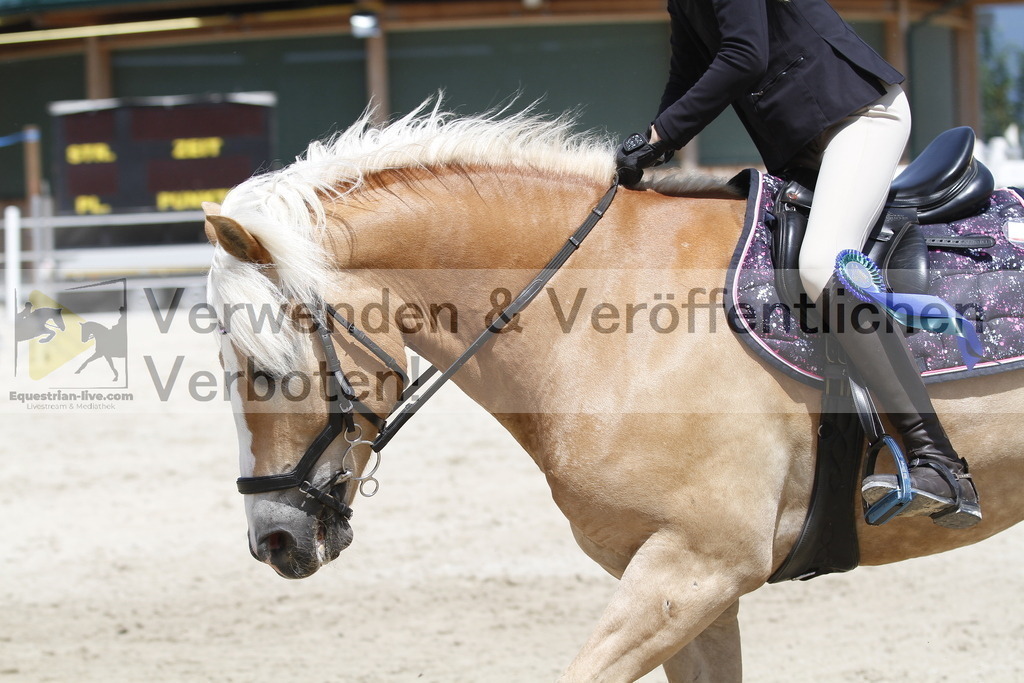 _MG_6639 | equestrian-live-com