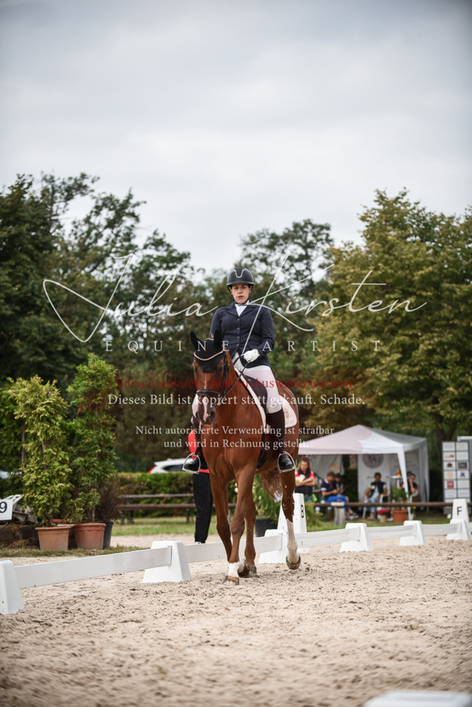 DSC_8378 | Pferde- und Turnierfotografie in Westsachsen. Pferdeportraits, Auftragszeichnungen und intuitive Kunst.