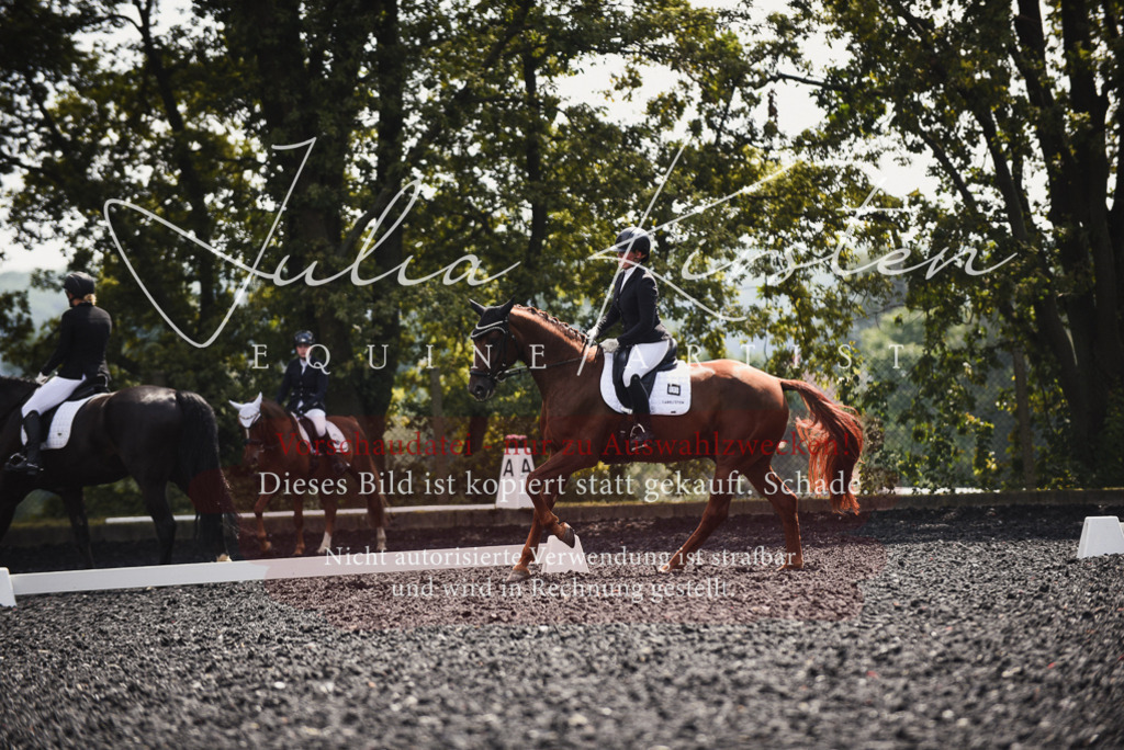 DSC_4201 | Pferde- und Turnierfotografie in Westsachsen. Pferdeportraits, Auftragszeichnungen und intuitive Kunst.