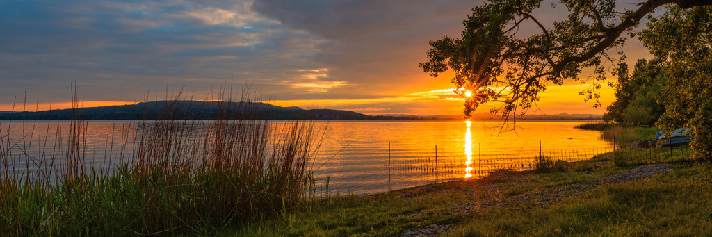 reichenau_05_2024-403a | <div id="allefotografen-seal-verified-green"></div><script src="https://www.allefotografen.de/956728/seal-verified-green/seal.js" async="async"></script> - Realisiert mit Pictrs.com