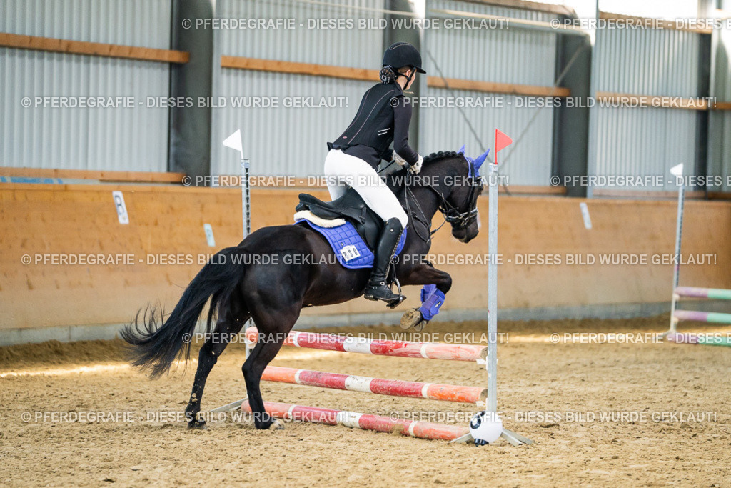 DSC01220 | Pferdegrafie