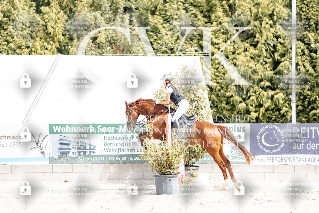 CK906385 | Turnierfotografie Pferdefotografie Trier Rheinland-Pfalz Pferdesport Reitsport Tierfotografie Sportfotografie Pferdevideo Pferdevideografie Equestrianvideography equestrianphotography  - Realisiert mit Pictrs.com