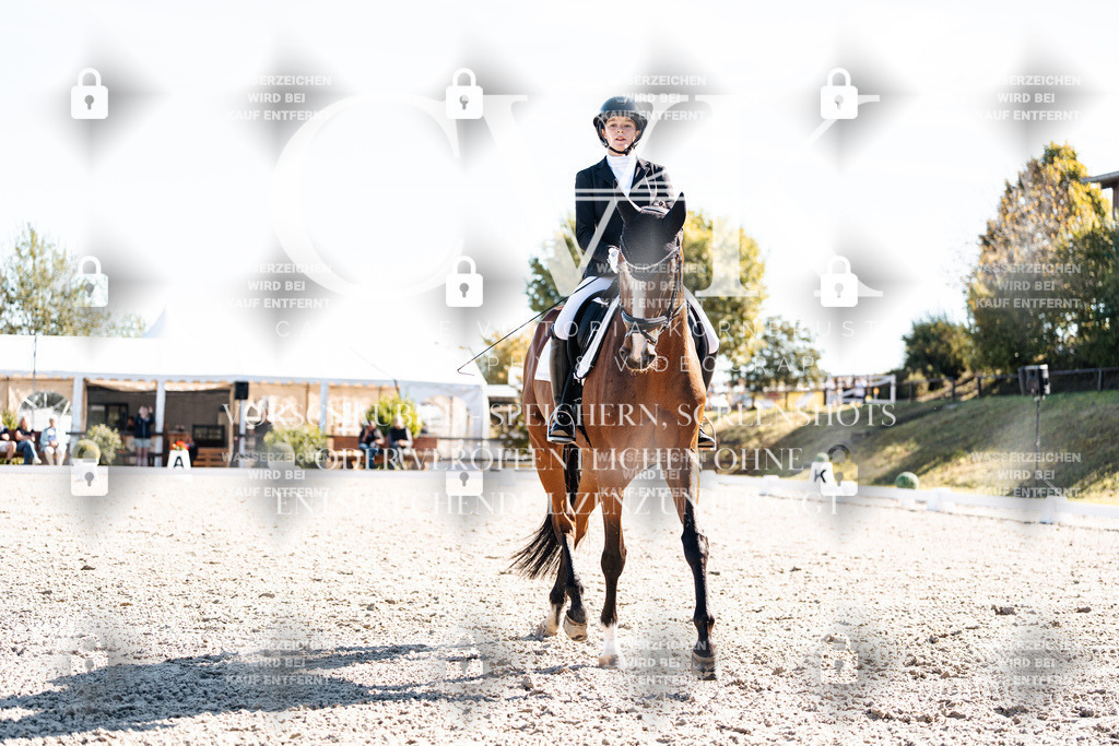 CK908601 | Turnierfotografie Pferdefotografie Trier Rheinland-Pfalz Pferdesport Reitsport Tierfotografie Sportfotografie Pferdevideo Pferdevideografie Equestrianvideography equestrianphotography  - Realisiert mit Pictrs.com