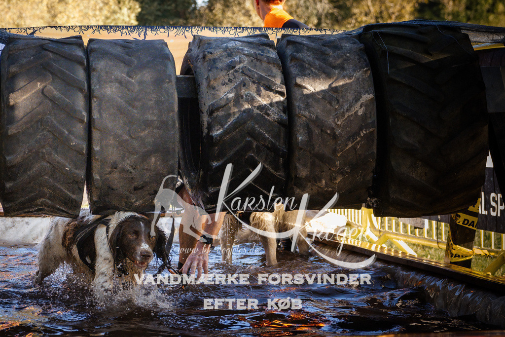 0927_ZZ90963 | kk-dogfotos