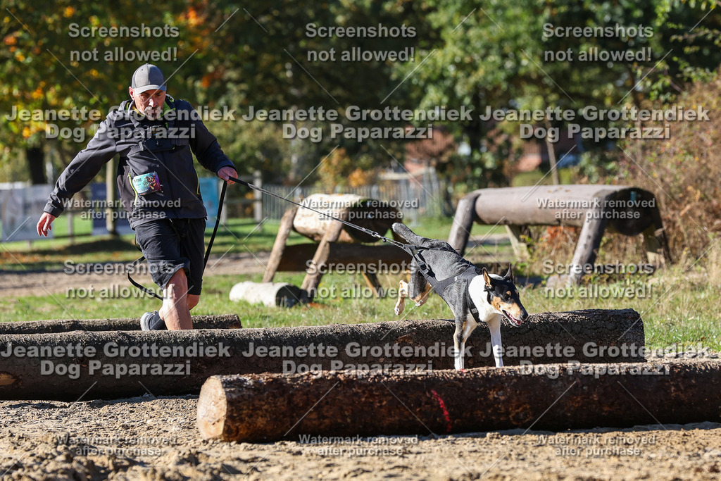 Dog Paparazzi - Strongdog 10-25-2572 | Dog Paparazzi Jeanette Grottendiek Fotografie & Videografie - Realisiert mit Pictrs.com