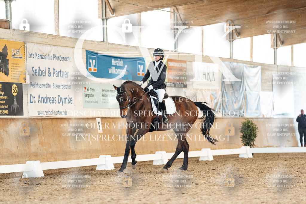 CK908818 | Turnierfotografie Pferdefotografie Trier Rheinland-Pfalz Pferdesport Reitsport Tierfotografie Sportfotografie Pferdevideo Pferdevideografie Equestrianvideography equestrianphotography  - Realisiert mit Pictrs.com