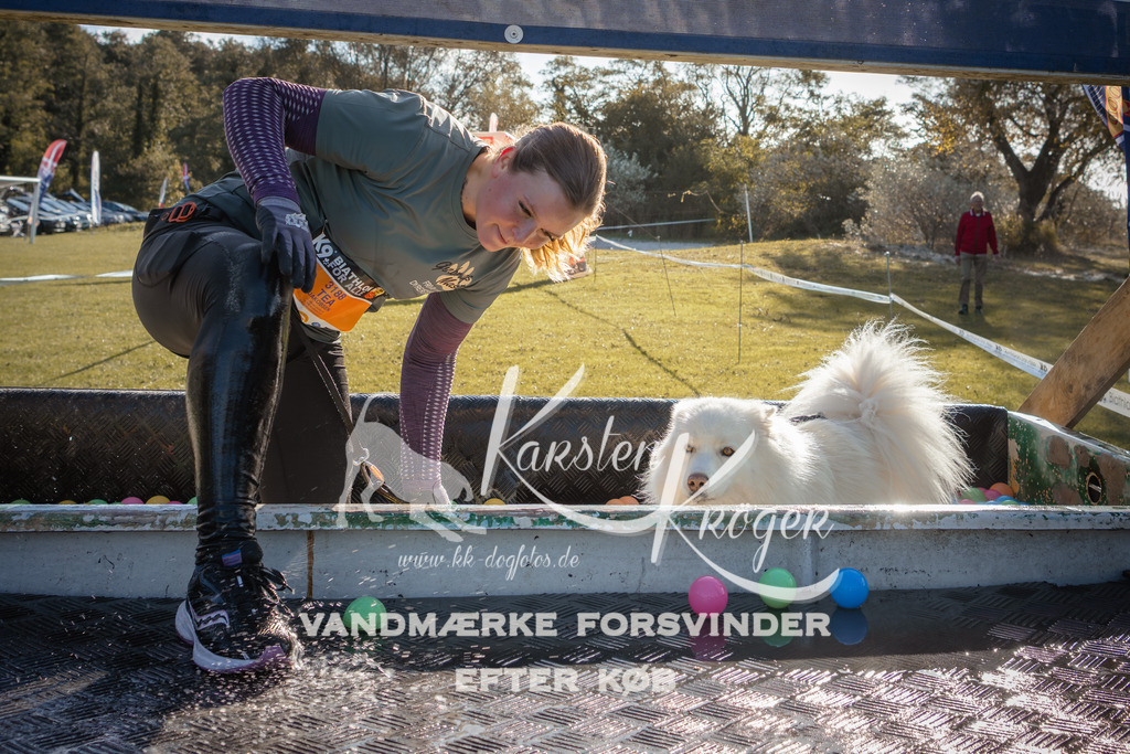 1048_ZZ90572 | kk-dogfotos