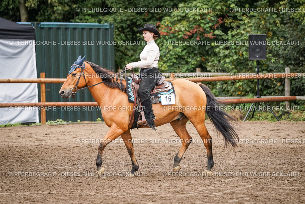 DSC04890 | Pferdegrafie