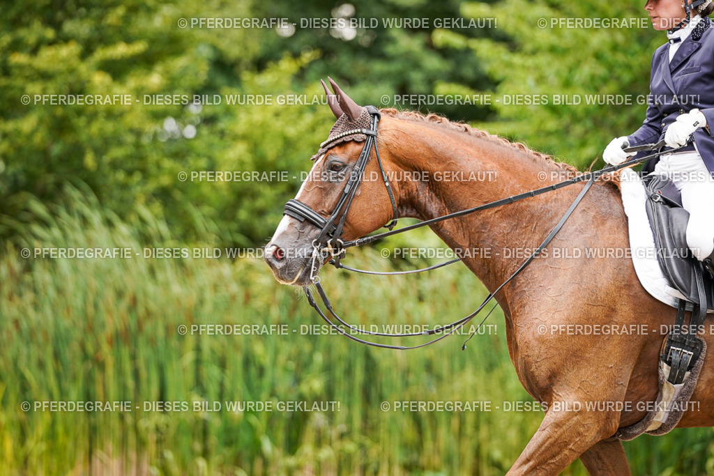 DSC04960 | Pferdegrafie