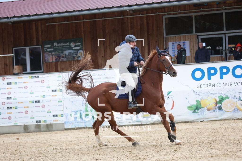 0P6A7119 | Willkommen bei Brunnmayr - Design & Fotografie – Ihrem Spezialisten für Reitturniere und Pferdeveranstaltungen in Oberösterreich, Salzburg und Bayern! Seit über 17 Jahren sind wir leidenschaftlich dabei.